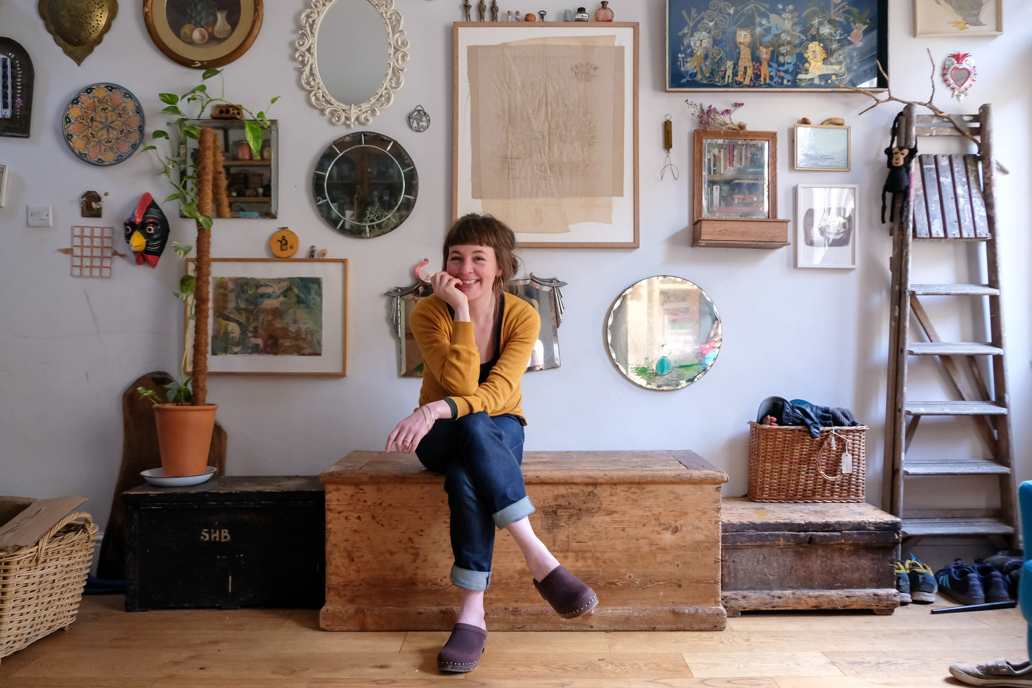 Java Bere sitting on front of a mirror wall